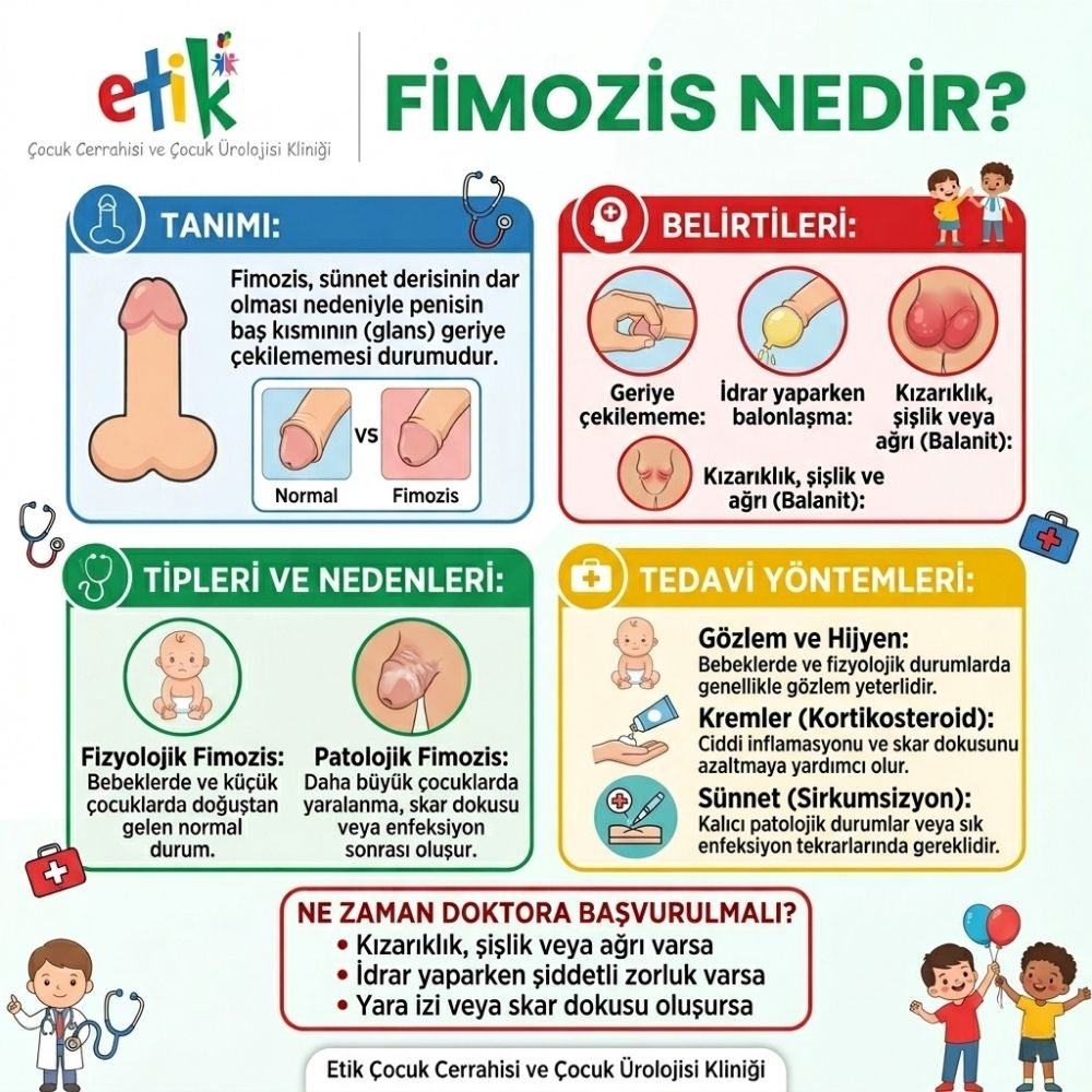 bitik ne demek