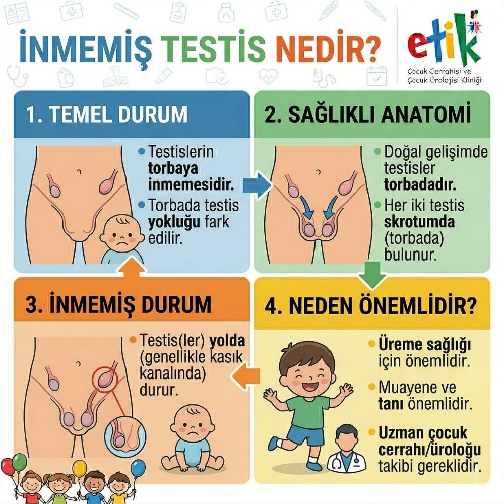 testis ameliyatÄ±