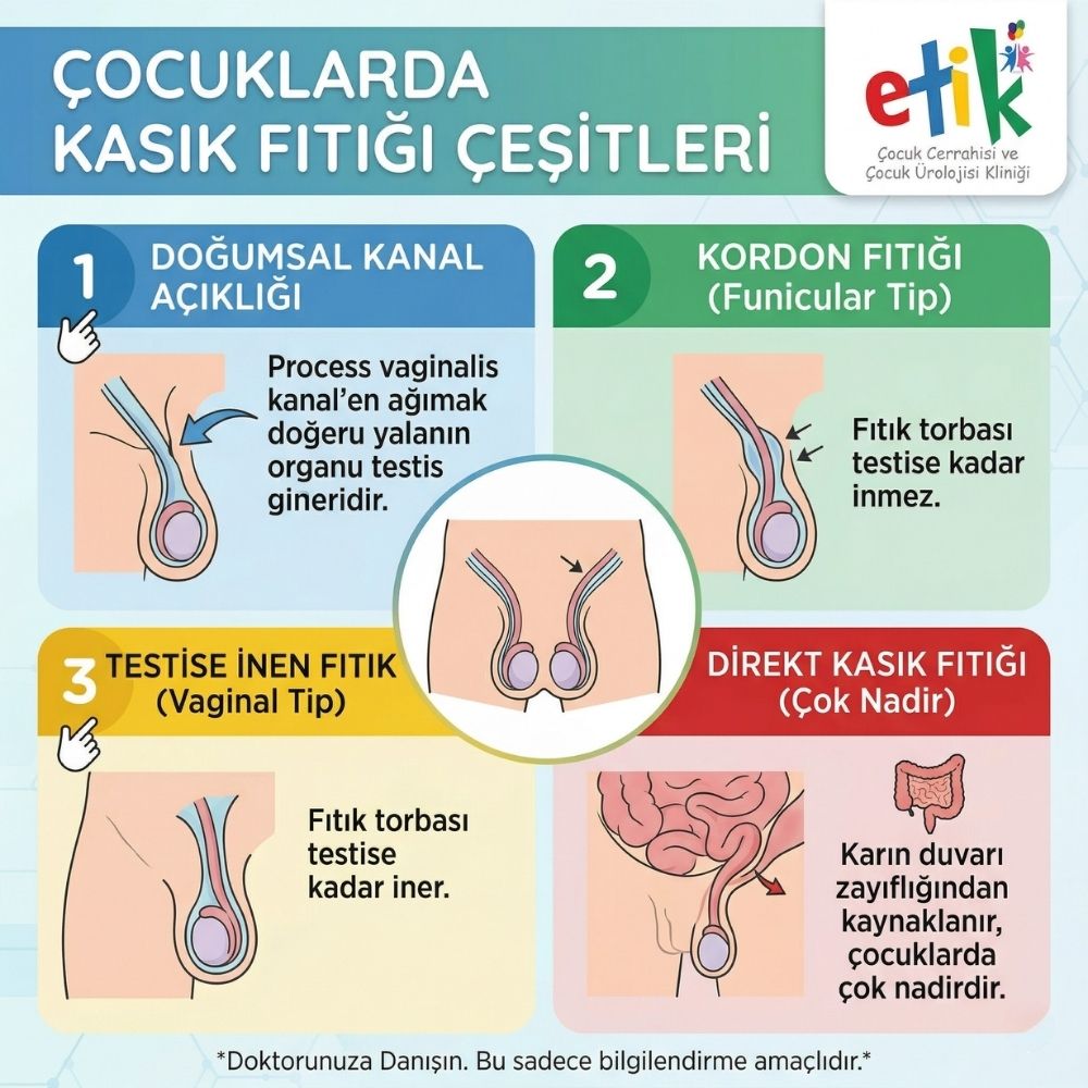 testis fÄ±tÄ±ÄŸÄ± nedir