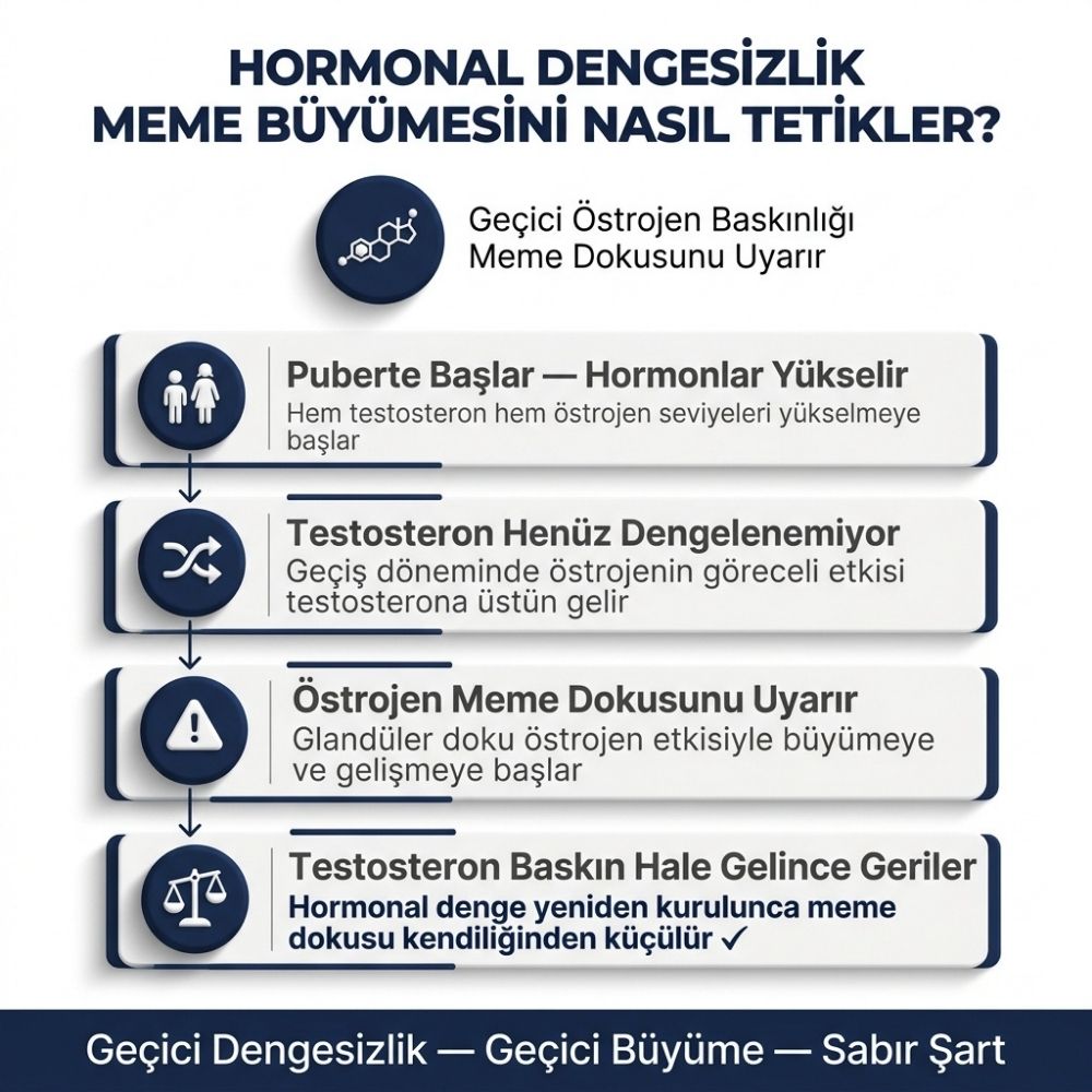 Ã§ocuklarda meme bÃ¼yÃ¼mesi
