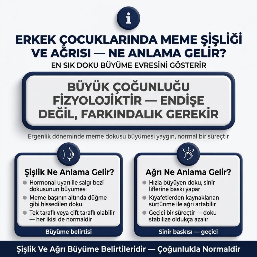 erkekte meme bÃ¼yÃ¼mesi